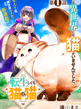 转生猫猫