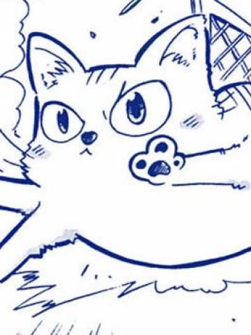 不合格的仔猫们