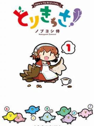 鸟娘咖啡